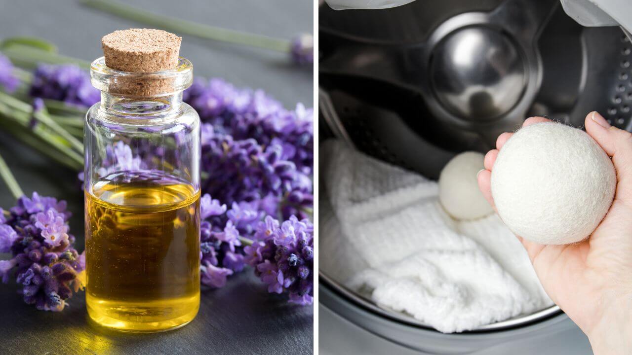 Smell the Difference 5 Best Essential Oils for Dryer Balls