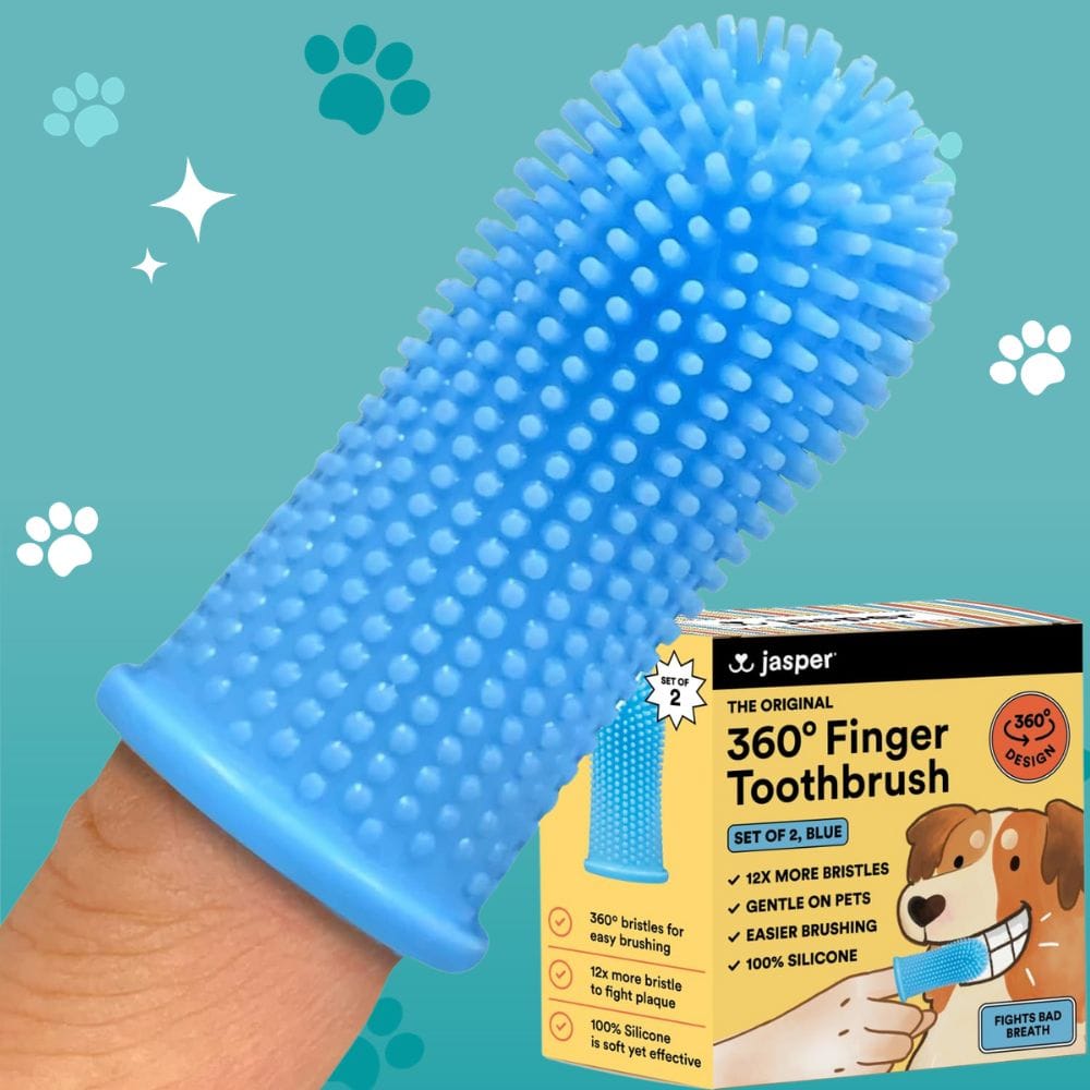 Clean Your Pup’s Teeth with These Top-Rated Dog Toothbrushes on Amazon