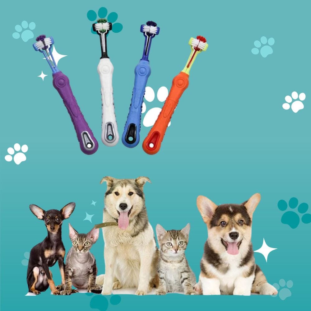 Clean Your Pup’s Teeth with These Top-Rated Dog Toothbrushes on Amazon