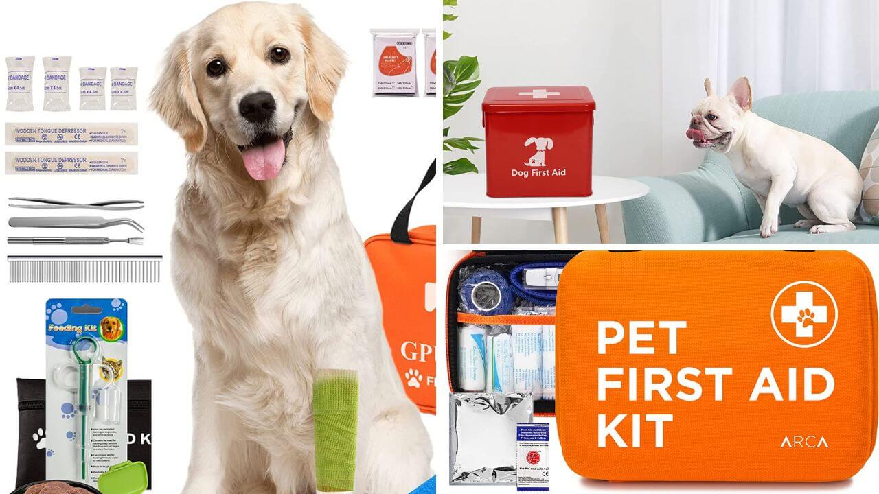 The Essential Guide to Keeping Your Dog Safe: Top 5 Dog First Aid Kits!