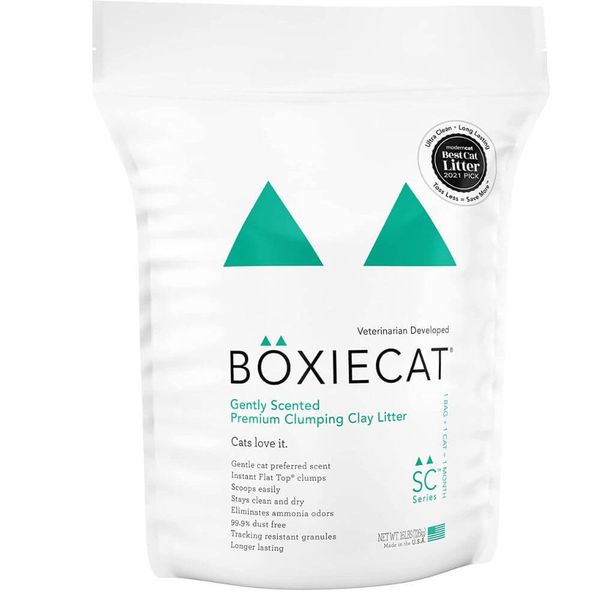 Say Goodbye to Allergies 6 Best Cat Litter for Allergies