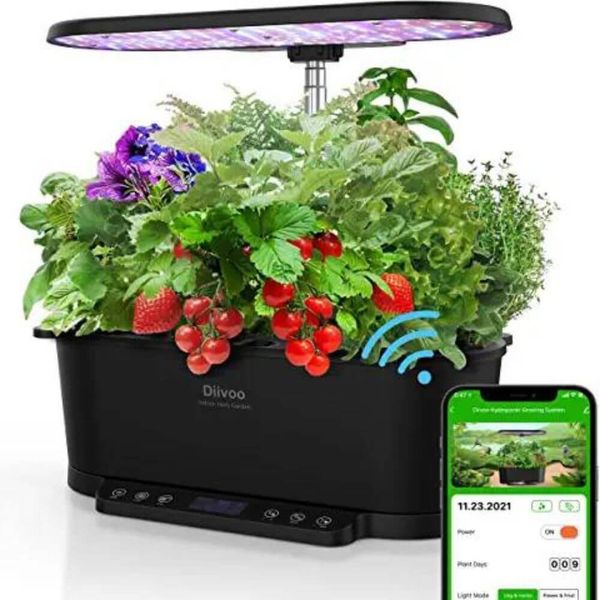 Creating a Hydroponic Indoor Garden for Maximum Growth and Enjoyment