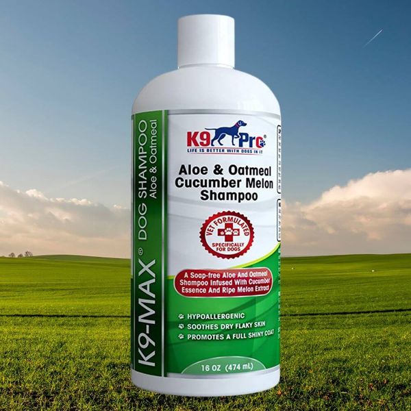 Fluff Up Your Husky With These 6 Fabulous Shampoos!