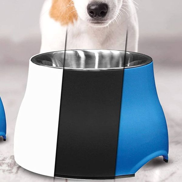 Pawsome Finds Your Guide to Finding the Perfect Elevated Dog Bowl