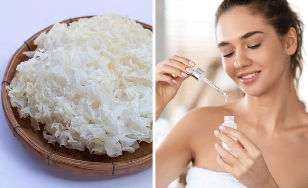 Discover the Hidden Power of Tremella Mushroom Through These Amazing Products