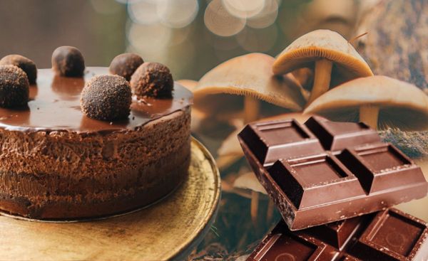 Indulge in Guilt-Free Alternatives to Psilocybin Chocolate Treats!